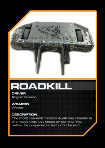 Roadkill
